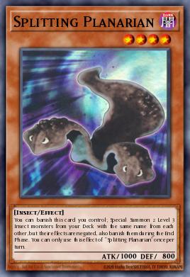 MP25-EN263 Splitting Planarian Ultra Rare